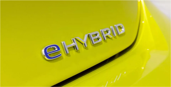 Volkswagen-martinique