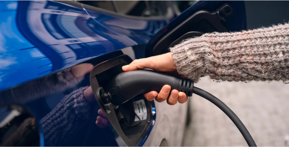 Volkswagen-martinique